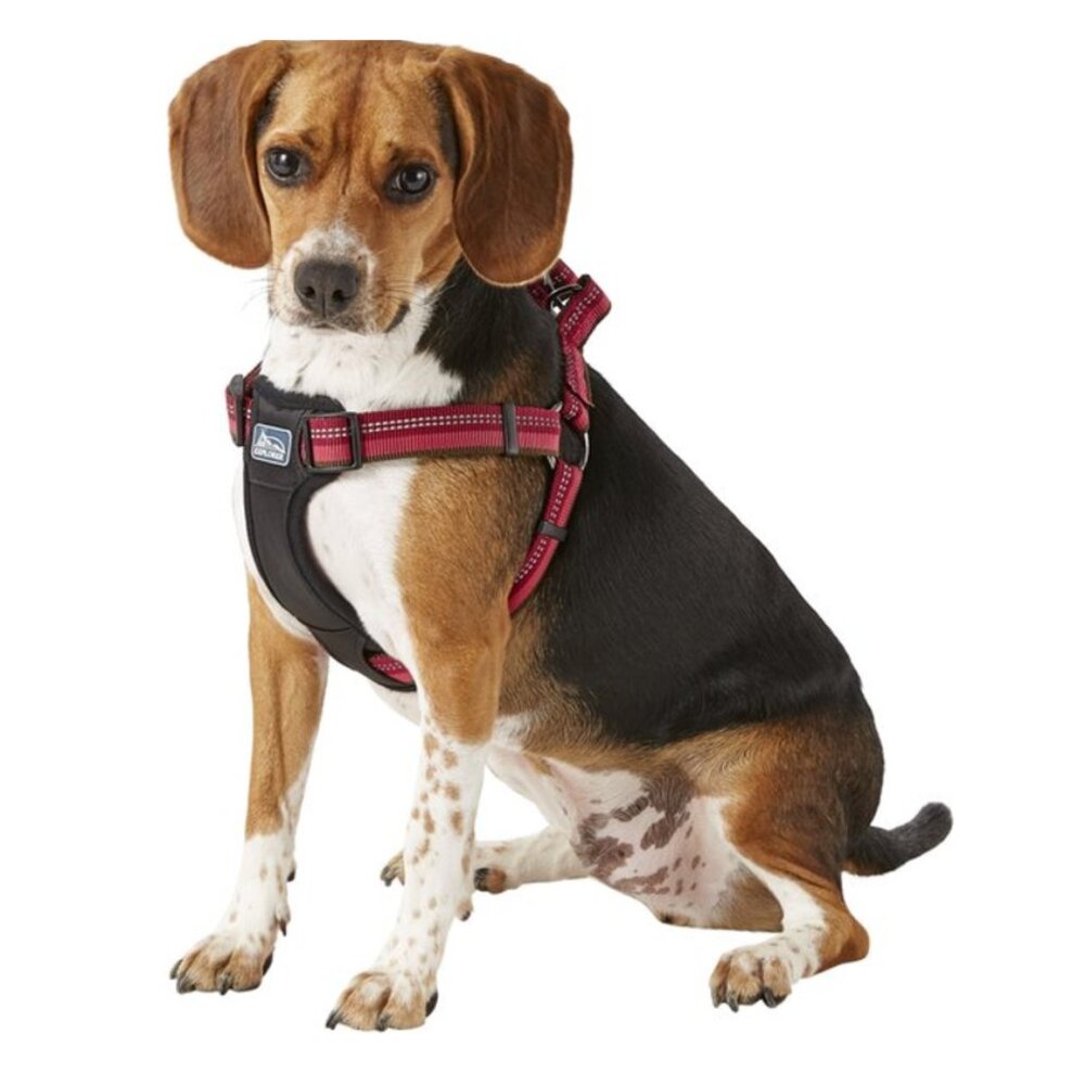 K9 Explorer Reflective Adjustable Padded Dog Harness Size Medium, Berry